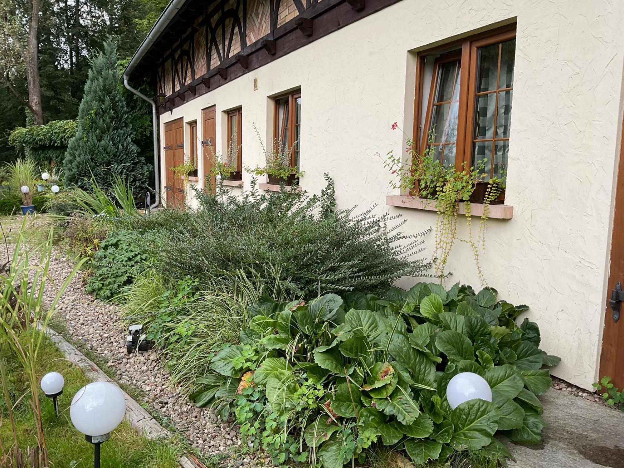 Leniuchy Apartment *